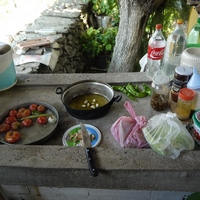 Photo de Turquie - La région de Didim